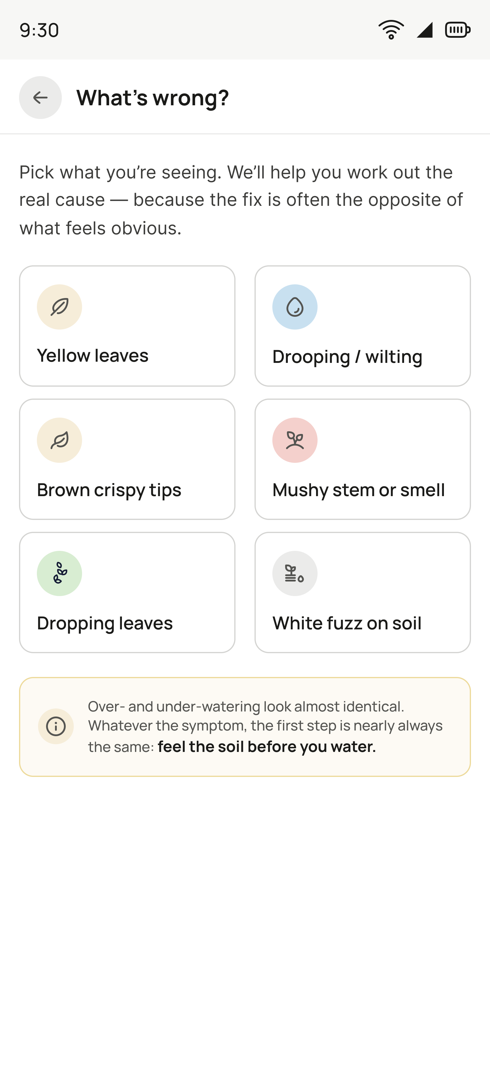 The What's wrong screen, listing visible symptoms in plain words.